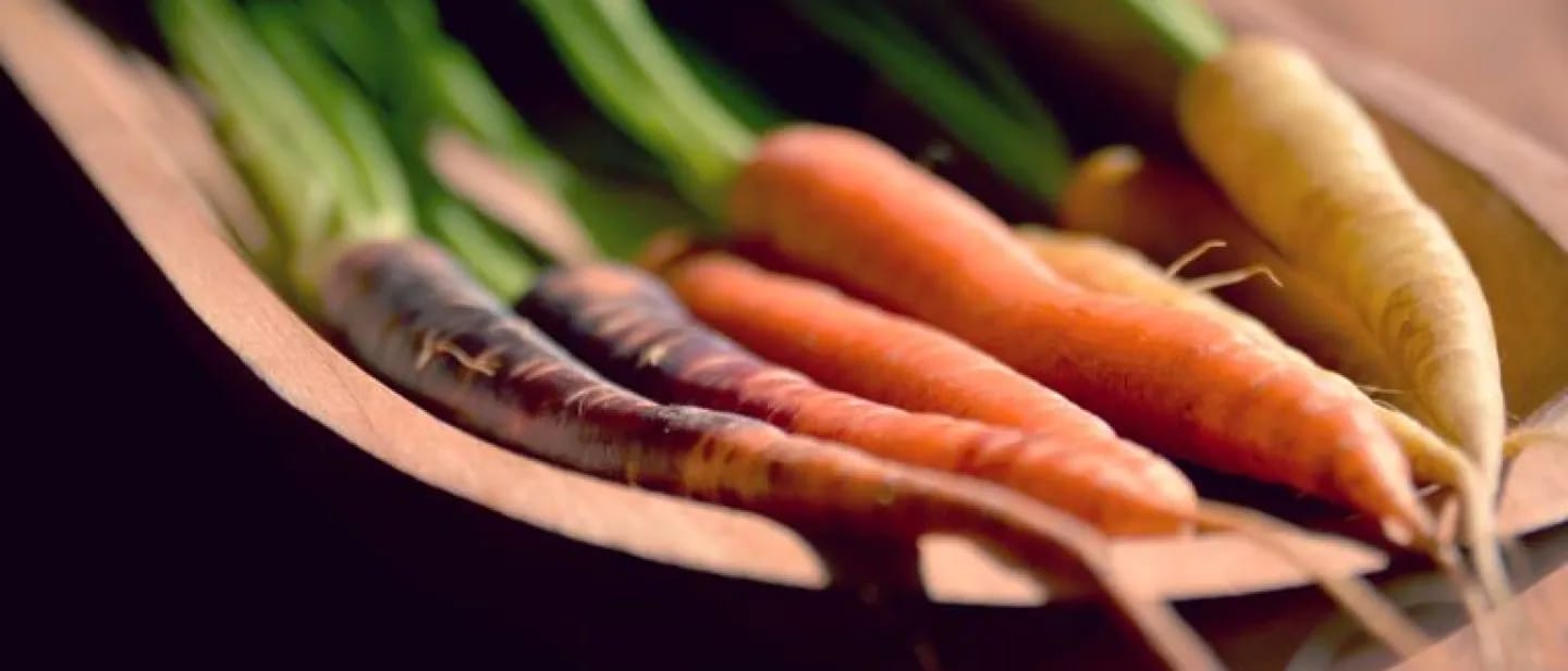 Purple, orange, yellow and white heritage carrots