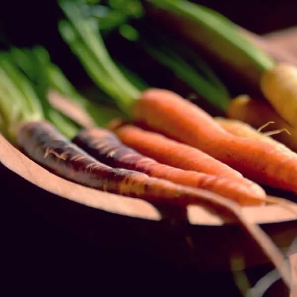 Purple, orange, yellow and white heritage carrots