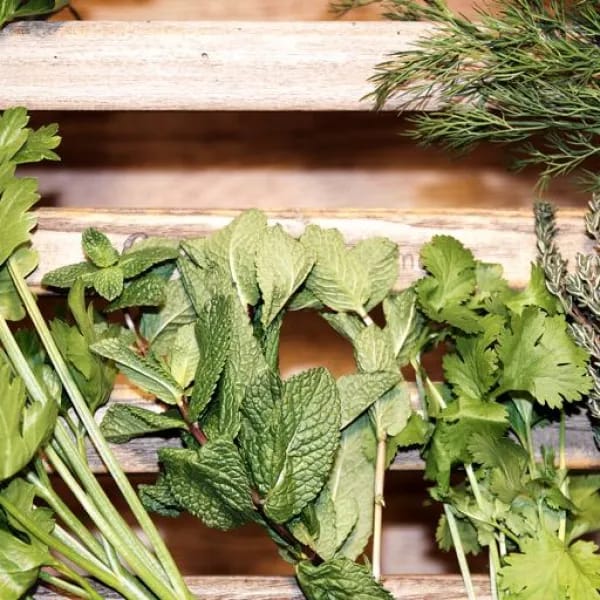 Fresh cut herbs including mint, parsley, thyme and dill